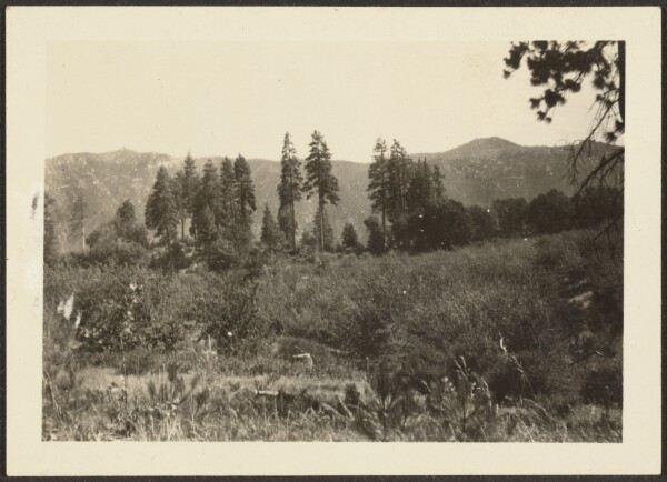 Louis Fleckenstein, [Landscape]