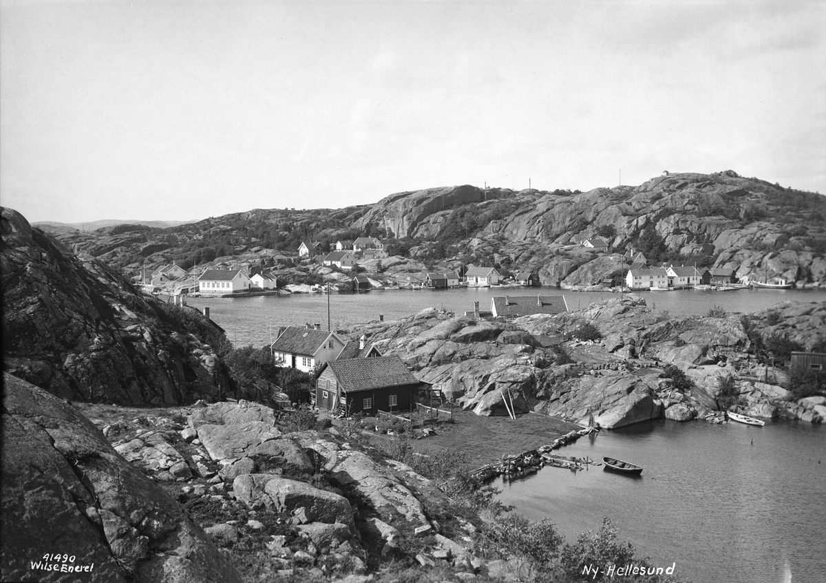 Anders Beer Wilse, Prot: Ny Hellesund