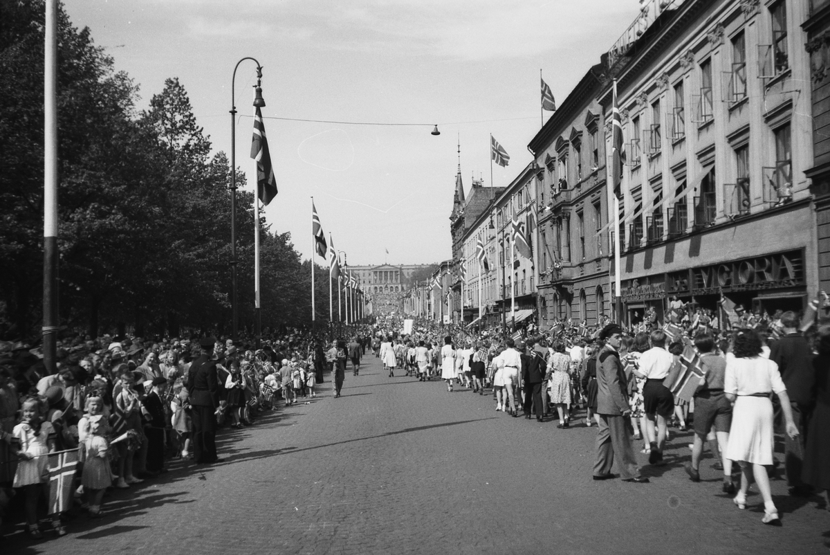 Anders Beer Wilse, Prot: 17. mai toget