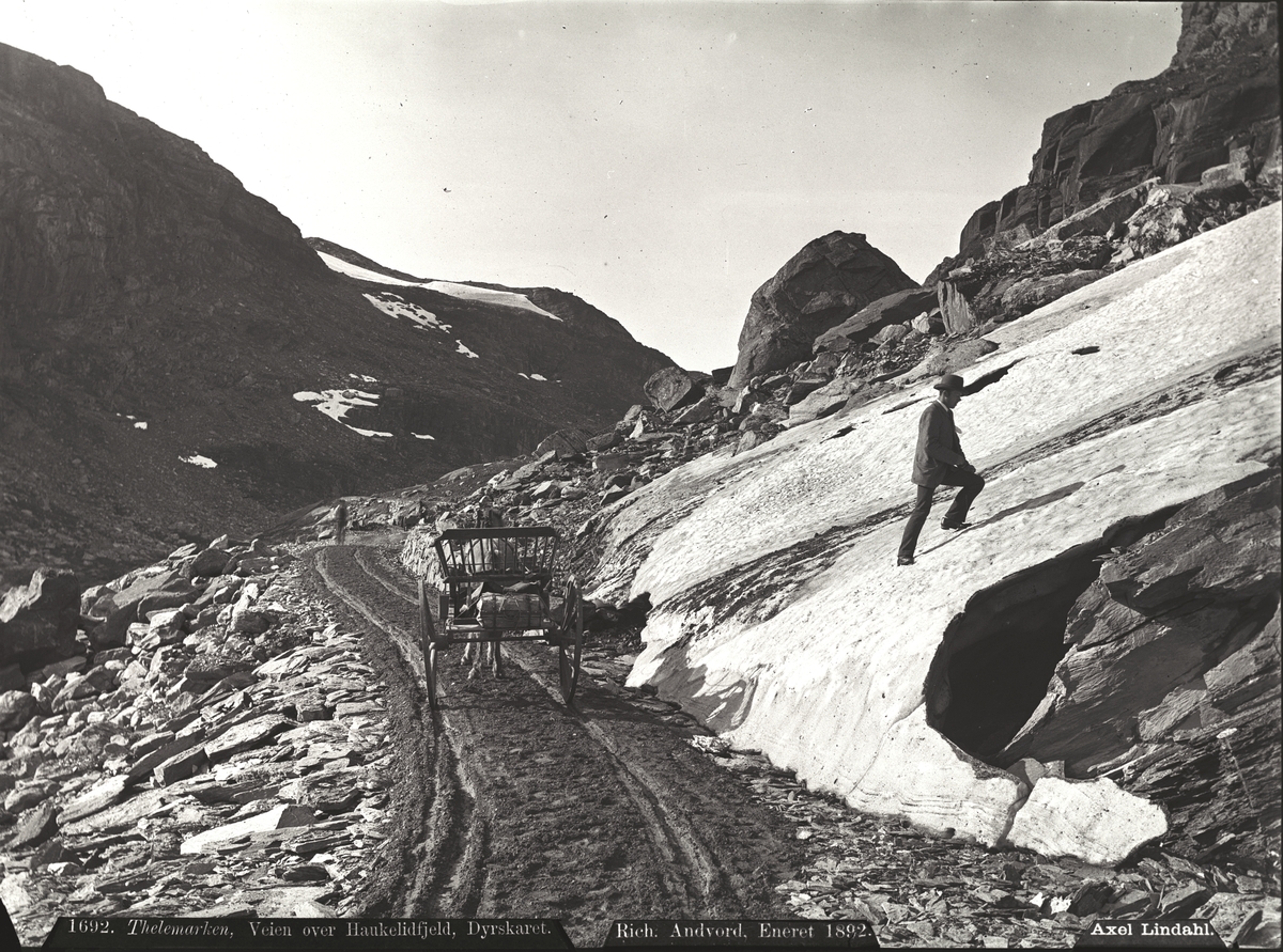 Axel Lindahl, "Prot: Veien over Haukelifjeld Dyreskaret