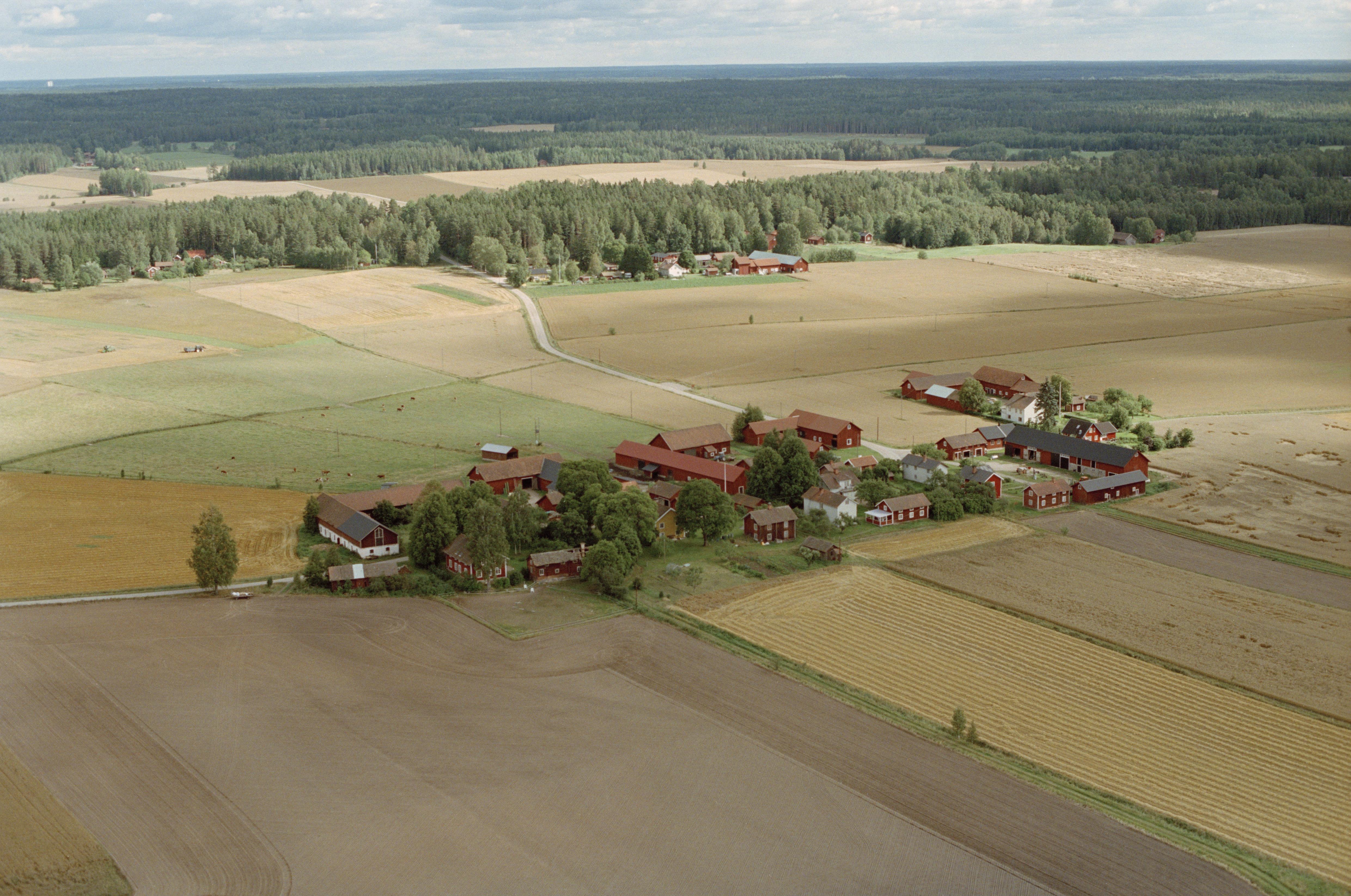 Jan Norrman, Västerfärnebo 344:1