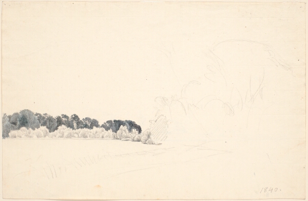 P.C. Skovgaard, Studieblad. T.v. et skovbryn, t.h. blyantskrads (trækupler).