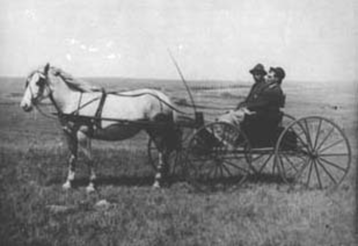 Normann Helger, HEST MED VOGN, FRA VENSTRE: EMIL STRAND FRA STRANDSTUA UNDER ATLUNGSTAD, JENSHAGEN ELTONSTRANDA, FARM I NORD DAKOTA, USA