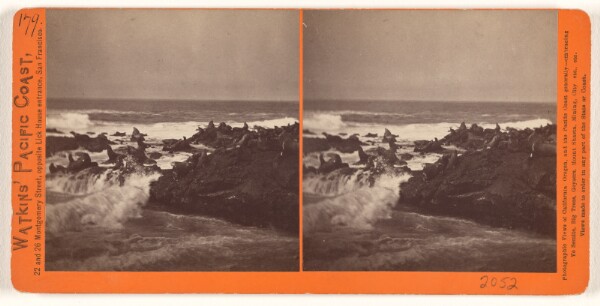 Carleton Watkins, [Seal Rocks, San Francisco]