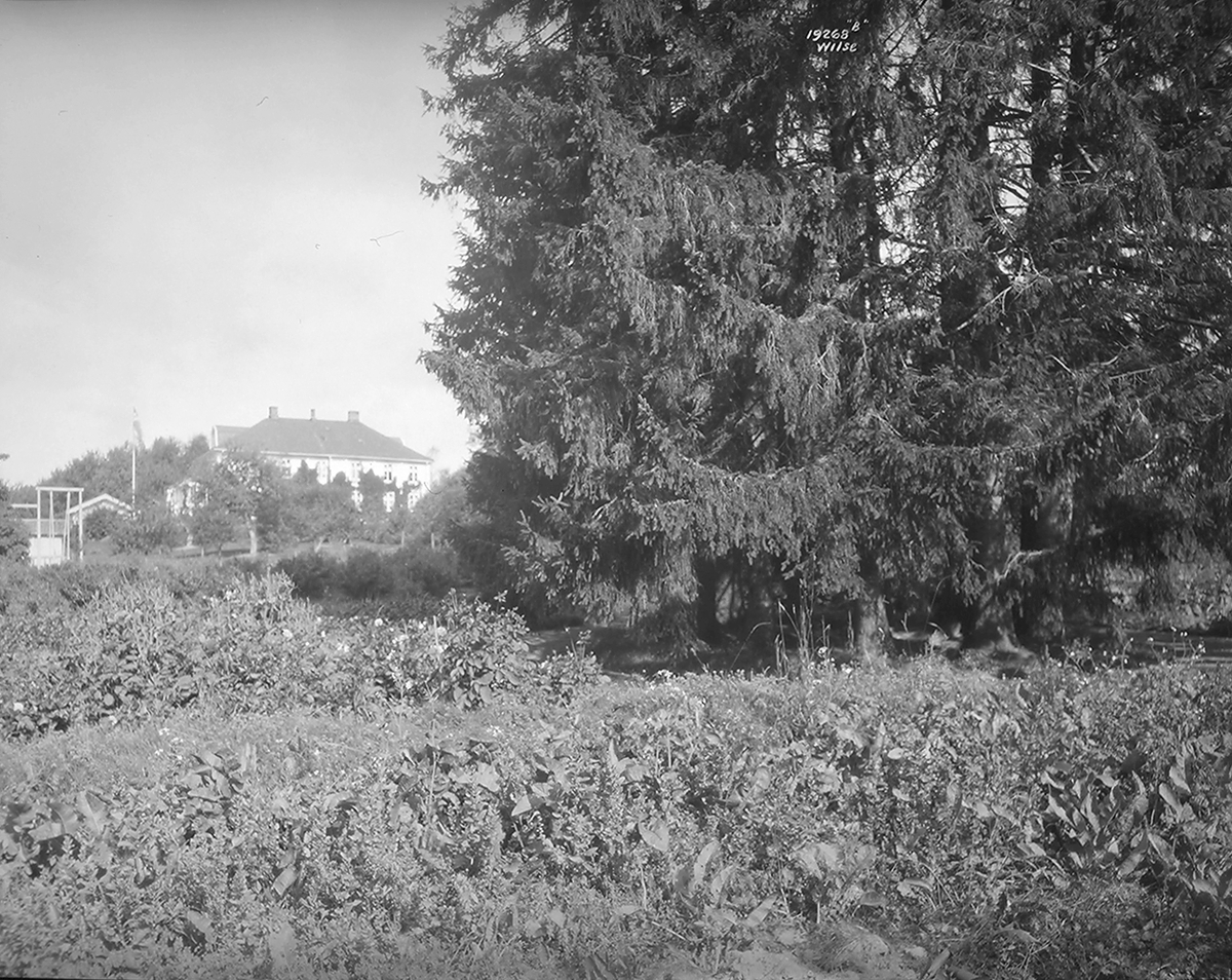 Anders Beer Wilse, Prot: Skamsgaard