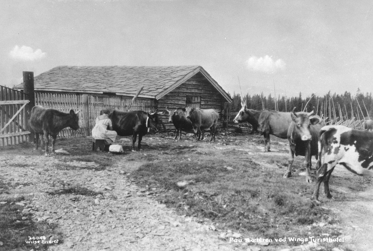 Anders Beer Wilse, Prot: Gudbrandsdal, Paa sæteren