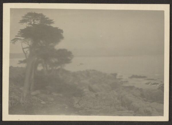 Louis Fleckenstein, [Landscape]