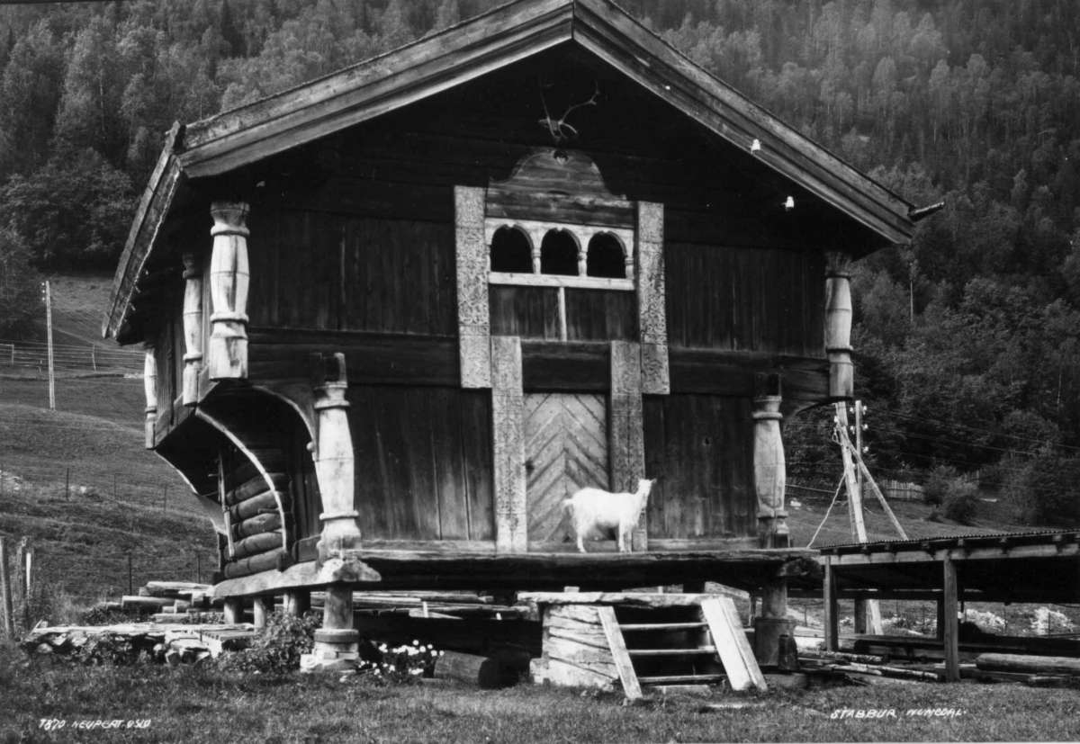 Hermann Christian Neupert, Kittelsland, Nordre Nore, Nore og Uvdal. 1930. Loft fra 1737. Geit foran loftsdøra. Bjørkeskog i bakgrunnen.