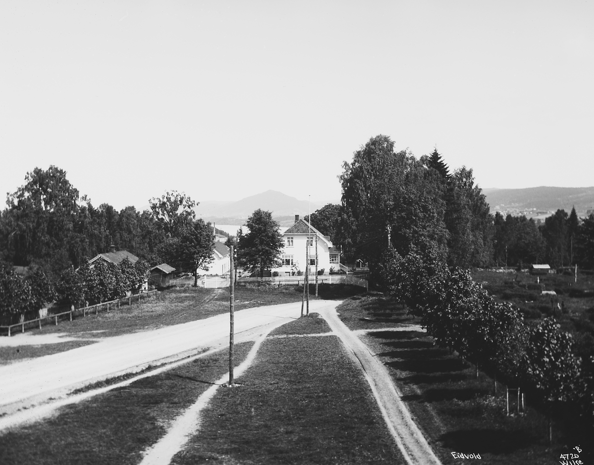 Anders Beer Wilse, Prot: Eidsvolds Komune Udsigt fra Komunebygningen