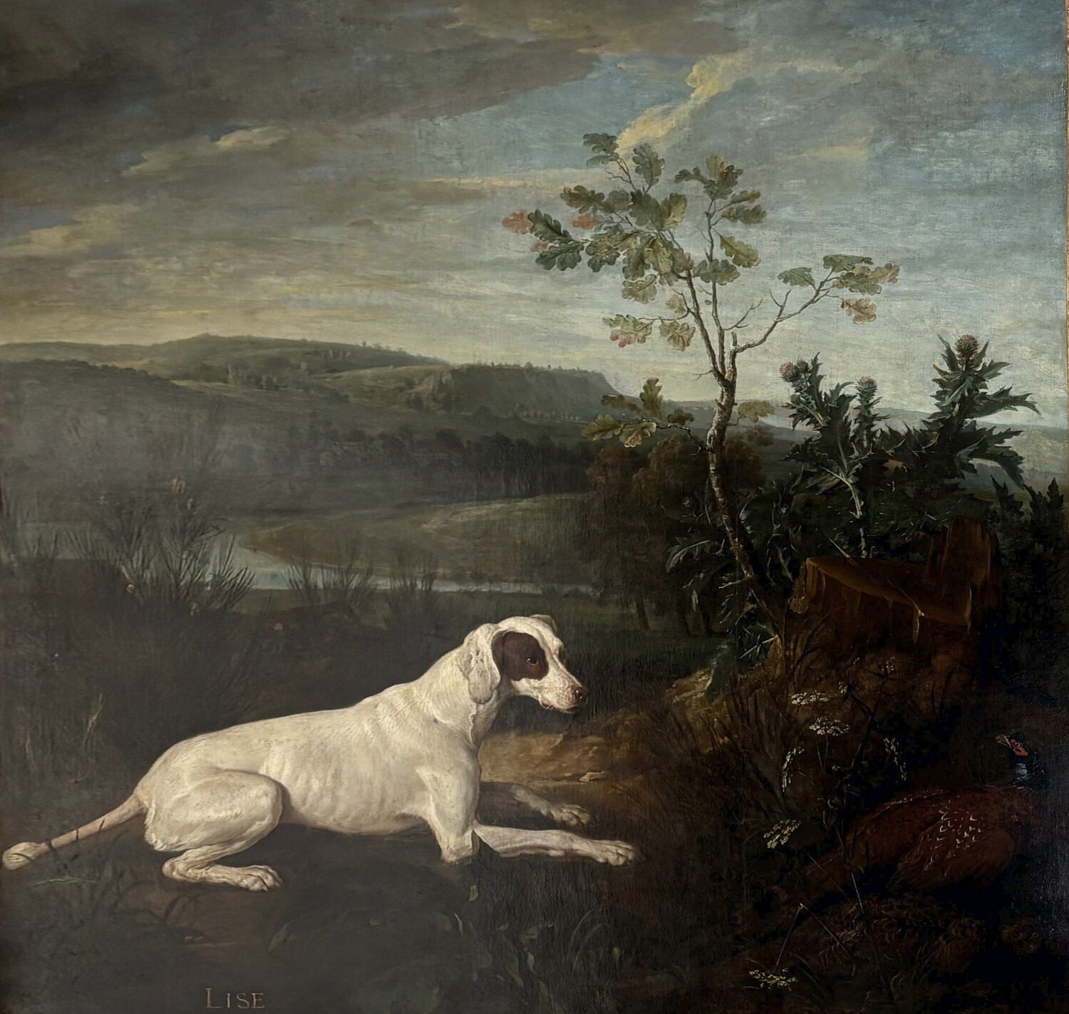 Alexandre-François Desportes, Lise, chienne de la meute de Louis XIV