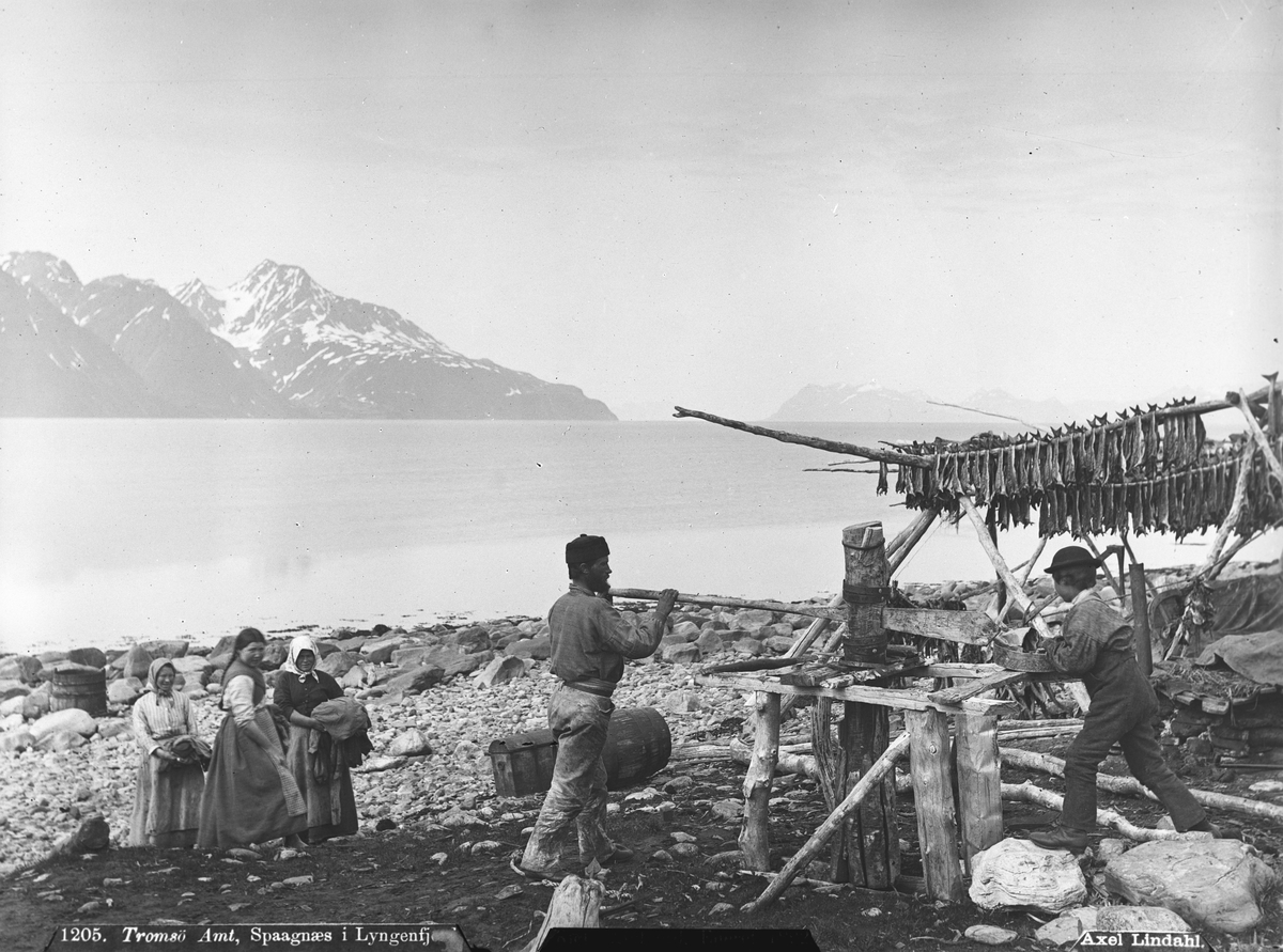Axel Lindahl, Prot: Spaagnæs i Lyngenfjord