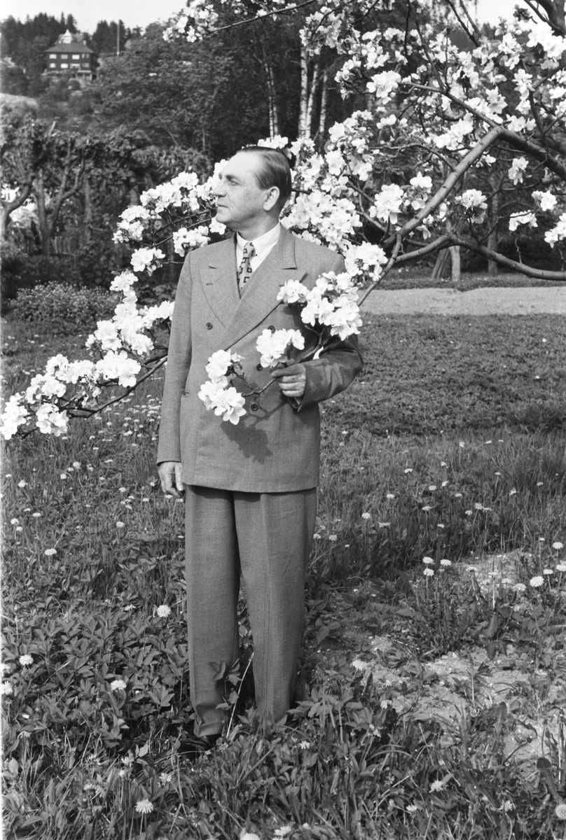 Anders Beer Wilse, Prot: Irgens Kapt fruen og kapt æbleblomster