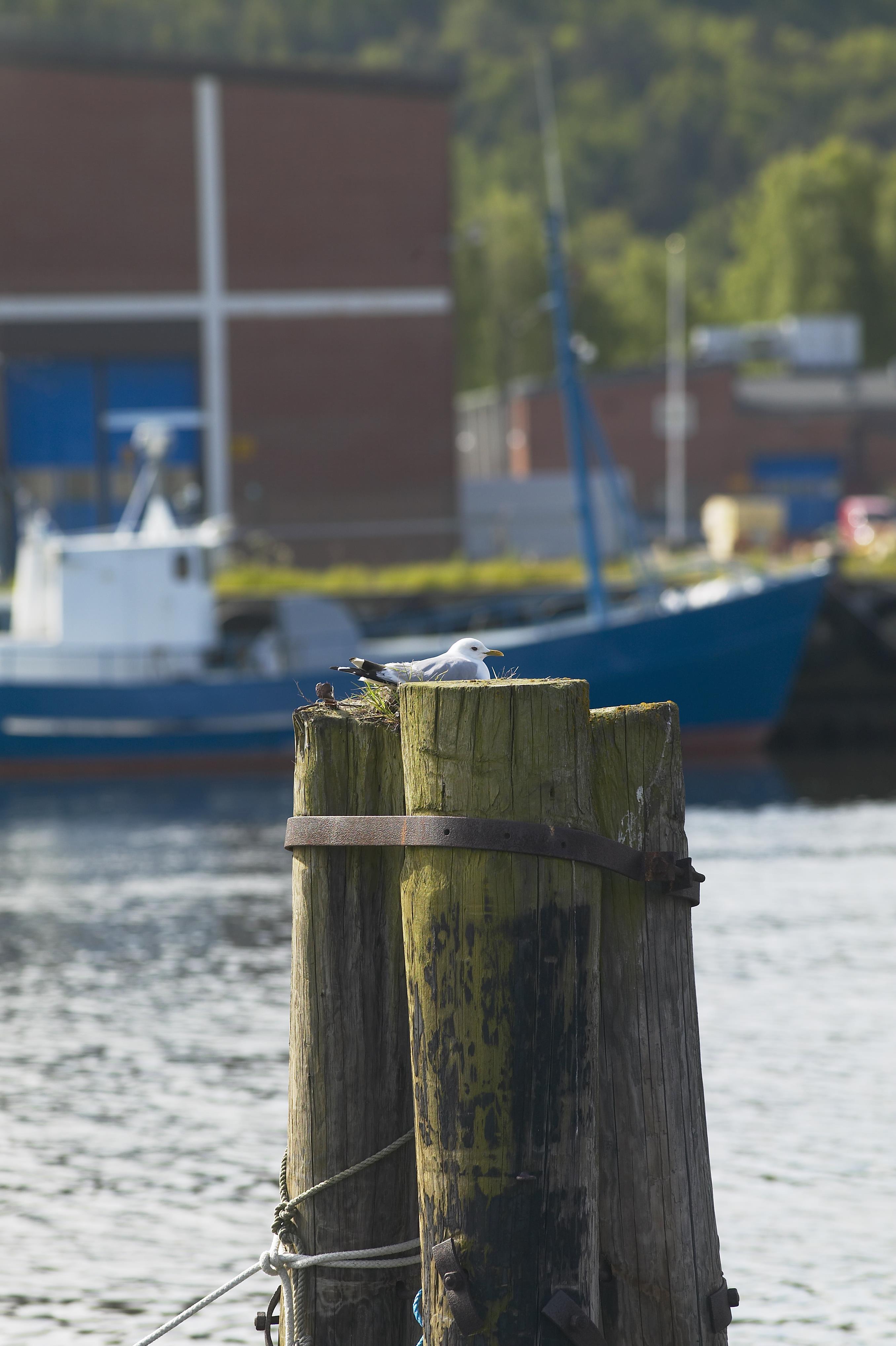 Bengt A Lundberg, Uddevalla