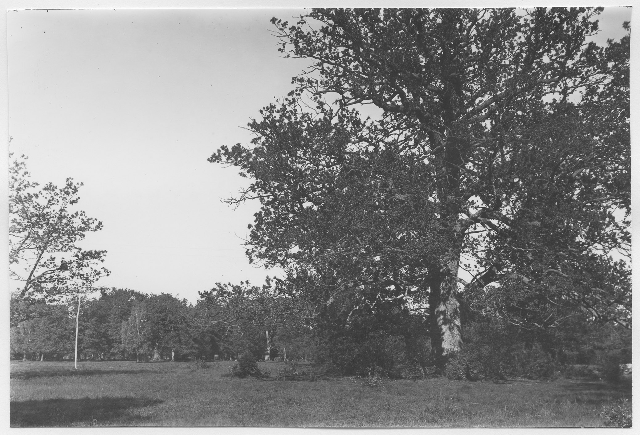 Mårten Sjöbeck, Värnanäs herrgård