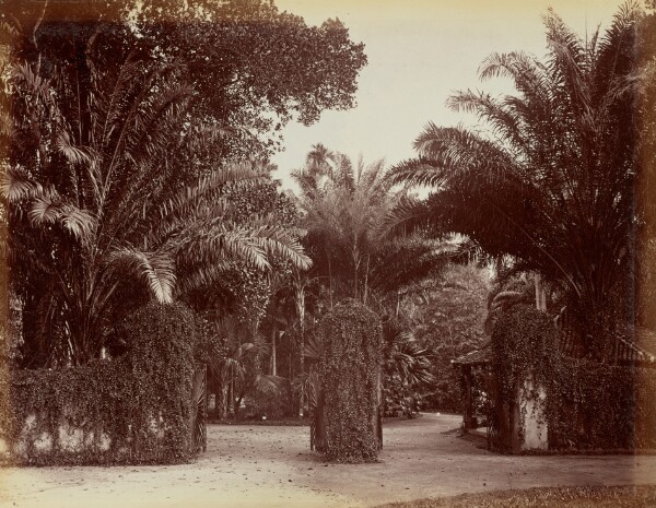 Unknown, Entrance of Perdonuyo Gardens