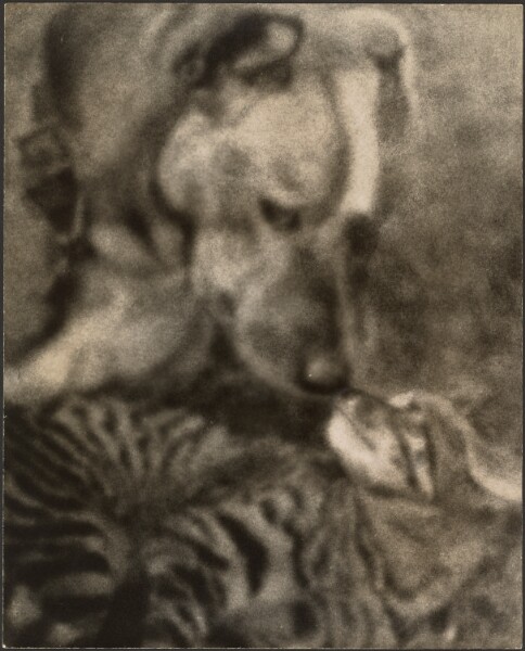 Louis Fleckenstein, [Cat and Dog]