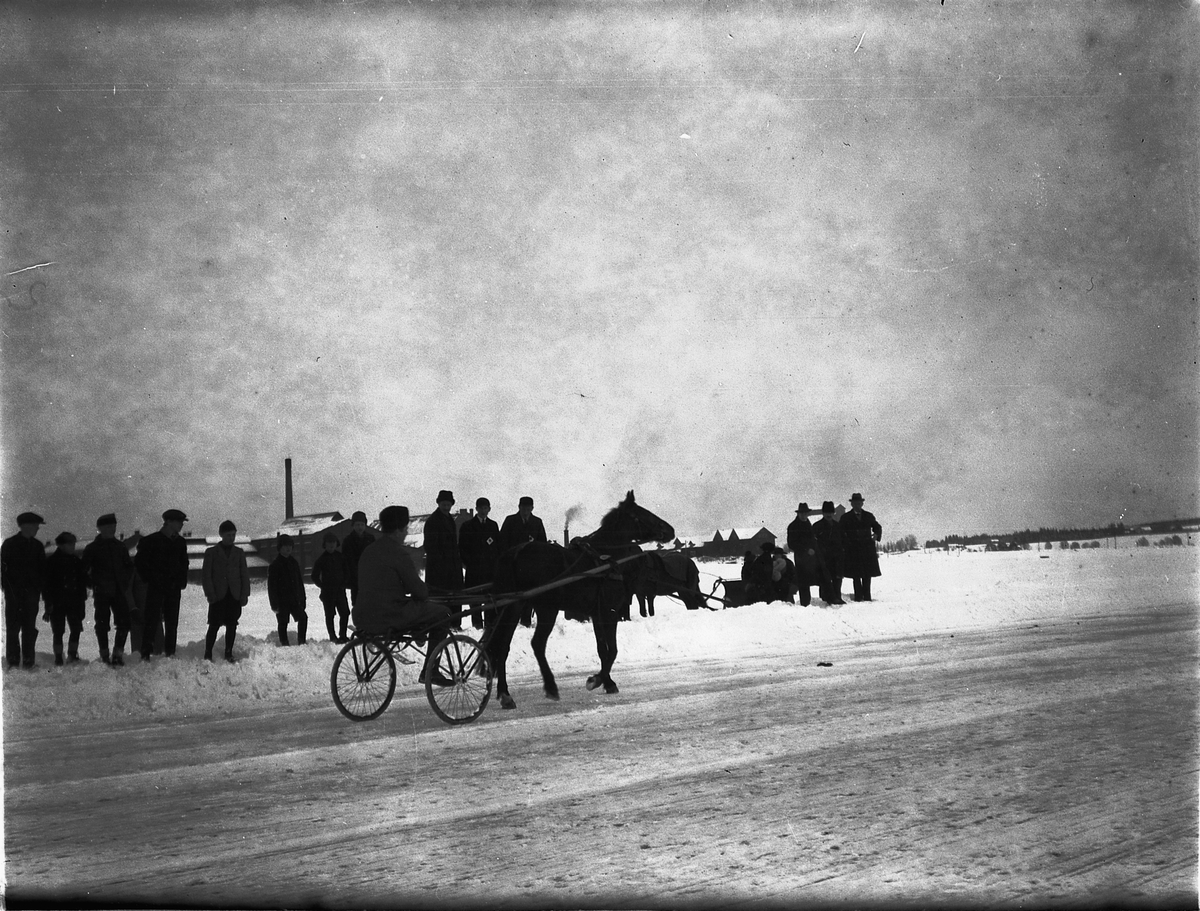 Ragnvald Andersen, Veslemjøsa. Travløp på isen på Mjøsa.