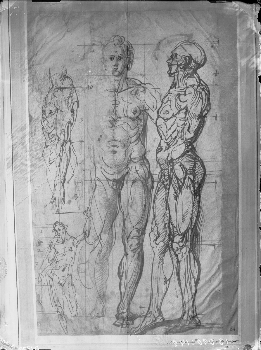 Carl Curman, Anatomiska handteckningar av Michel Angelo. Originalet finns på National Museet.