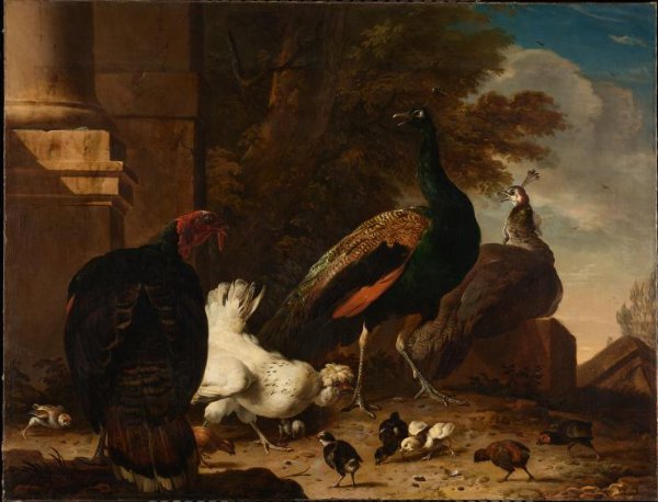 Melchior d' Hondecoeter, A Hen with Peacocks and a Turkey
