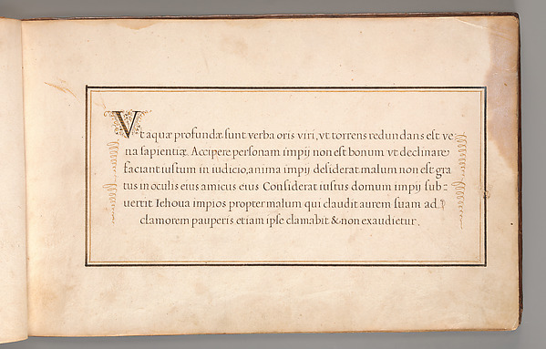 Anonymous, Calligraphic Exercise in Latin