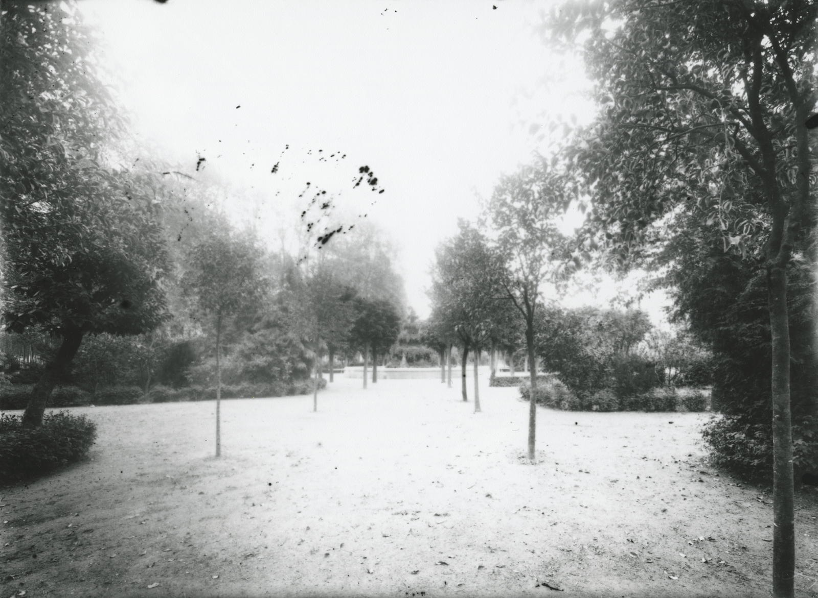 Josep Thomas Bigas, [Dehesa]