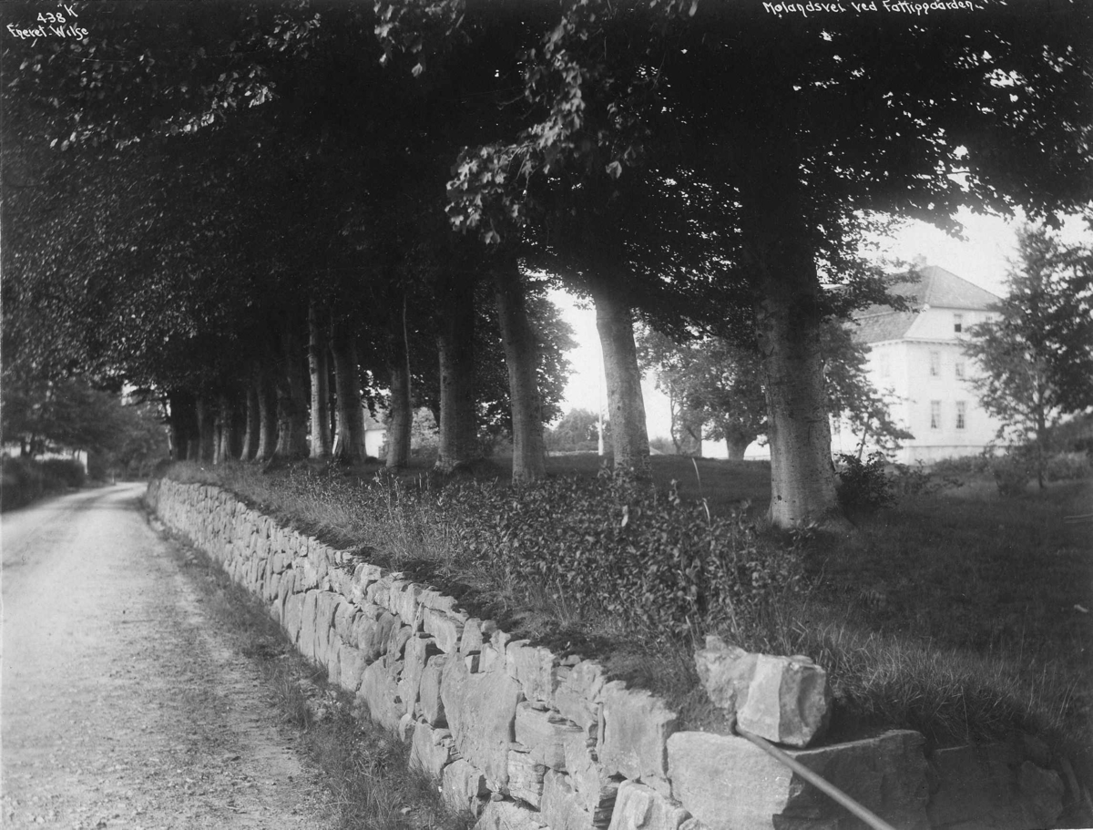 Anders Beer Wilse, Molandsveien ved Møglestu, Lillesand. Fotografert av Anders Beer Wilse i 1912.
