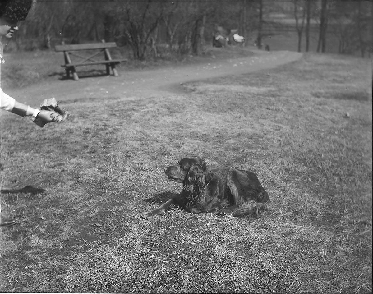 Anders Beer Wilse, Prot: Fru Kontorchef Kaas Hund