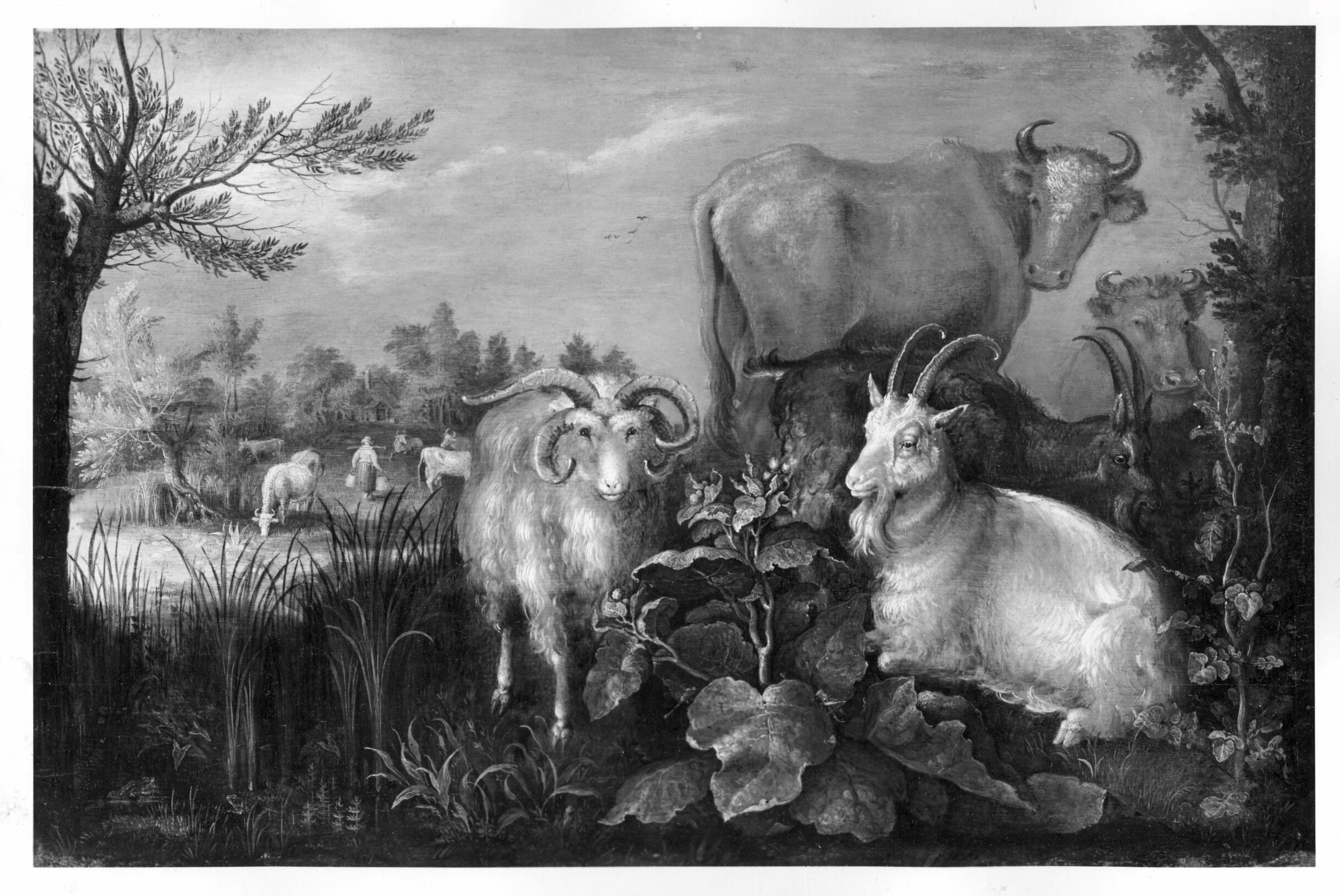 Roelant Savery, cows + goats