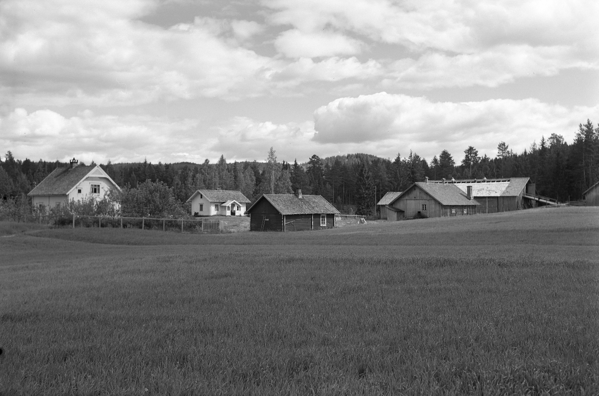 Anno Domkirkeodden, EKSTR: GARDSTUN, BAKKEN ØVRE, LØTENDUNDERBAKKEN ØVRE. Se Løtenboka, bind 3. Bygdeboka fra 1955, side 783