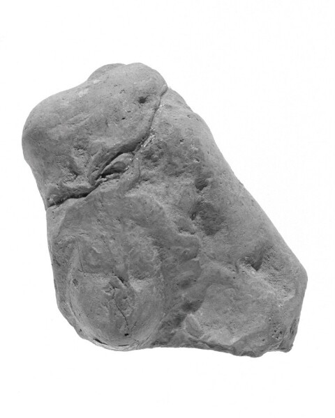 Unknown, Female Head Fragment