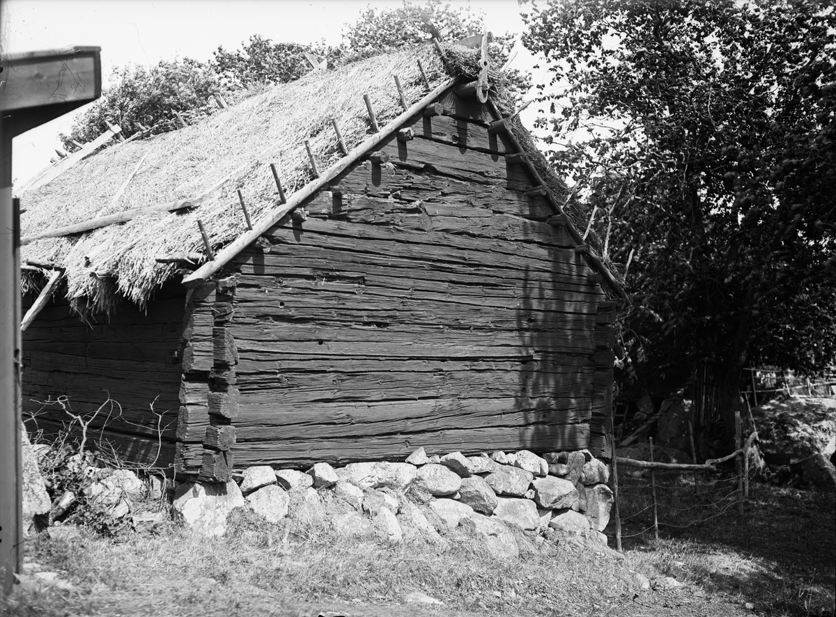 Paul Sandberg, Halmtak on a cellar shed, Oppgården, Berga, Denmark parish, Uppland, probably 1920s