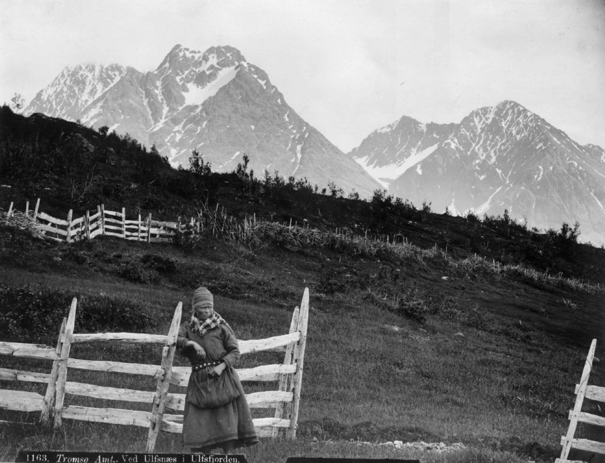 Axel Lindahl, Oversiktsbilde fra Ullsnes med en svensk samejente ved et gjerde. Karlsøy 1888.