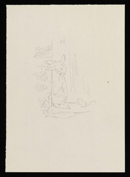 Potter, Beatrix, drawing