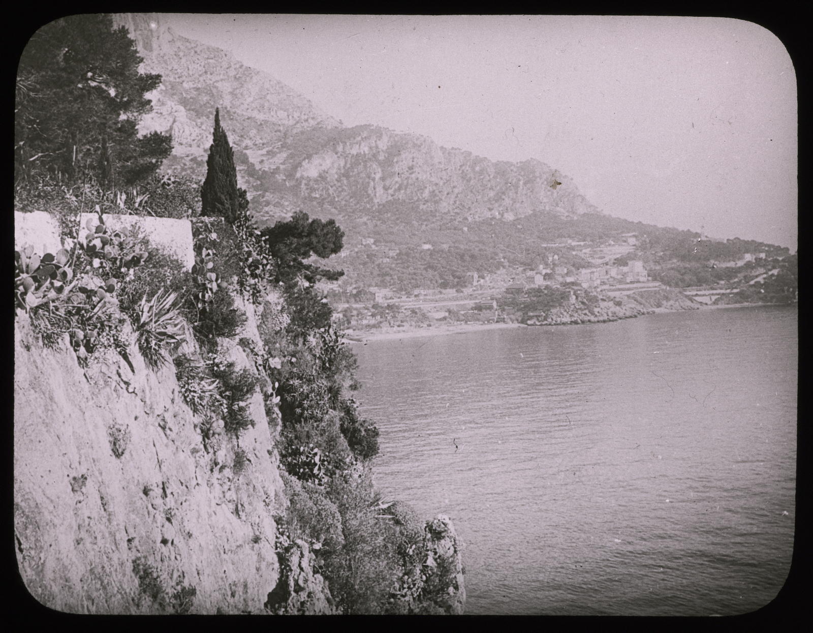 Desconegut, Rocher de Monaco at head of Ail (Végétations d’ aloes, Principauté de Monaco) Les Fils d’ Émile Deyrolle
