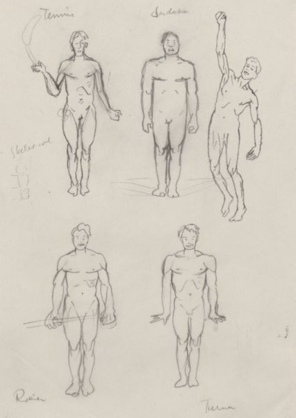 J Tinkelenberg, Physique of sporting figures