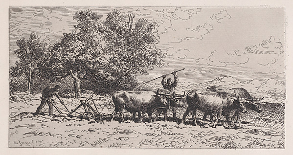 Charles Jacque, Attelage de Boeufs