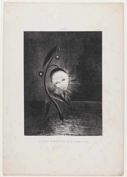 Odilon Redon, Le Fleur du marécage une tête humaine et triste