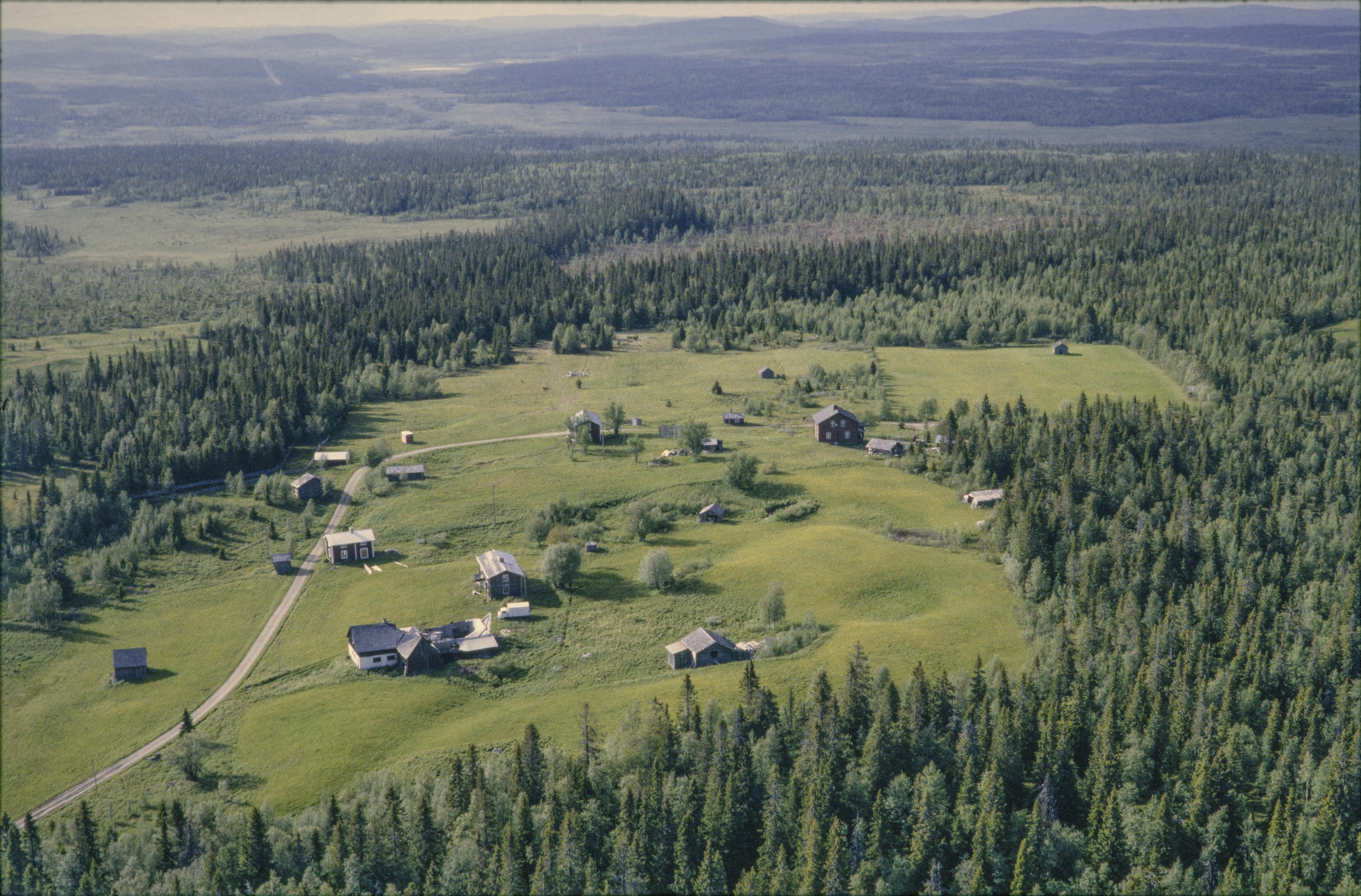 Jan Norrman, Risträsk