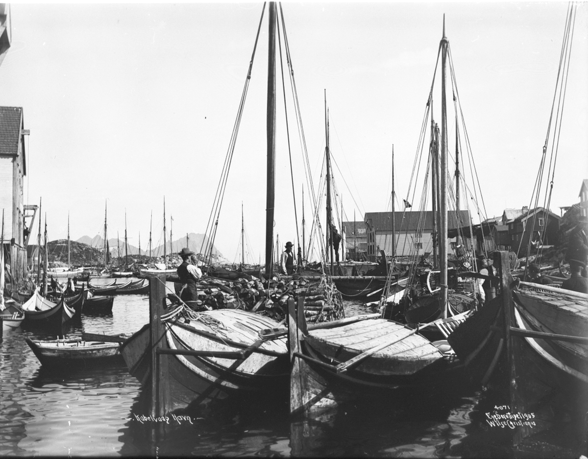 Anders Beer Wilse, Prot: Lofoten - Kabelvaag Havnen 29/6 1905