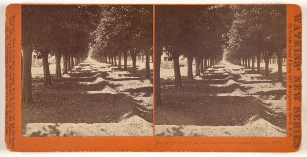 Carleton Watkins, Ready for Irrigation, Sunny Slope, San Gabriel, Los Angeles Co., Cal.