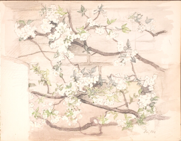 Agnes Slott-Møller, Æbleblomster