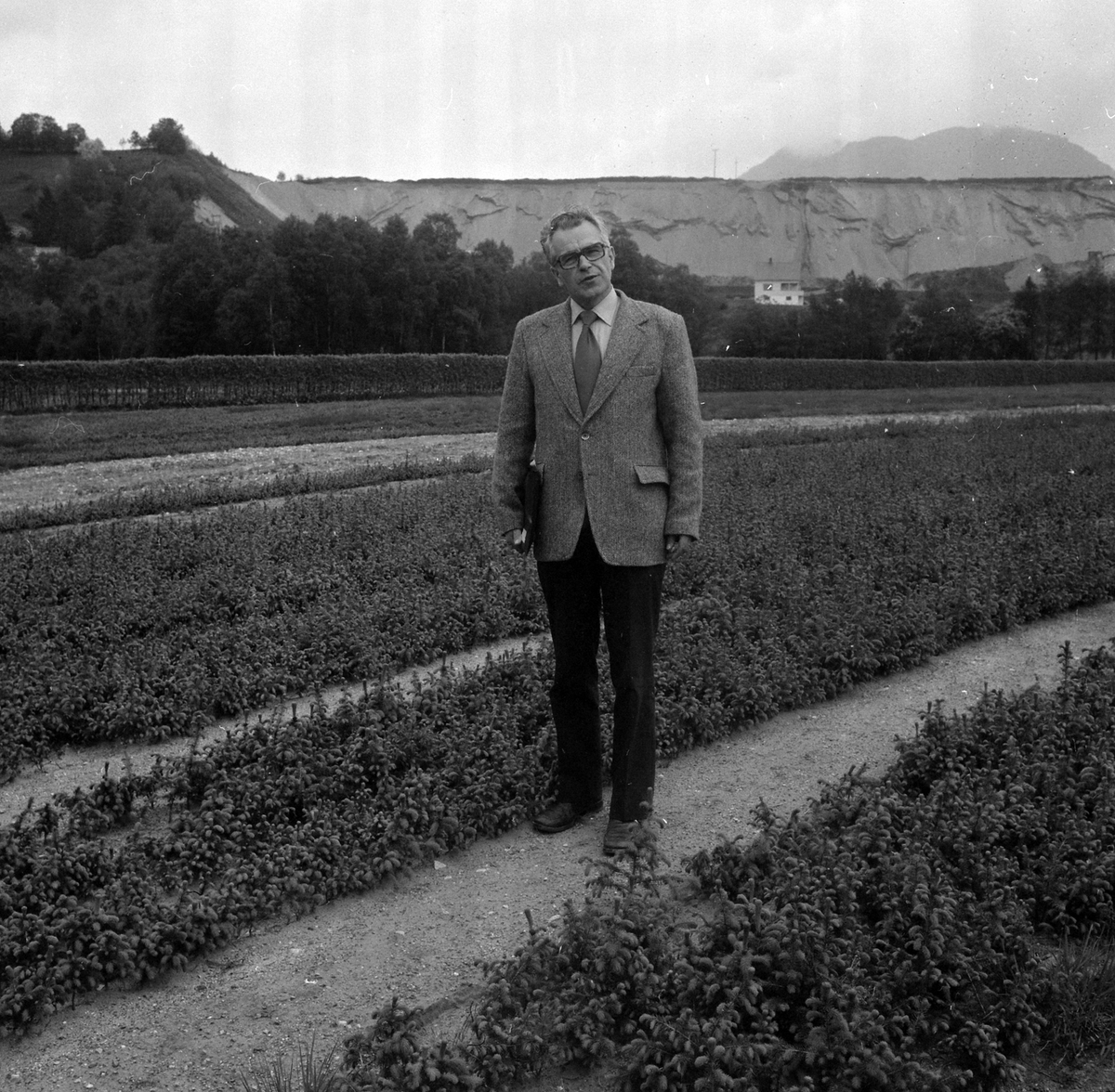Adolf Skjegstad, ASK-03304