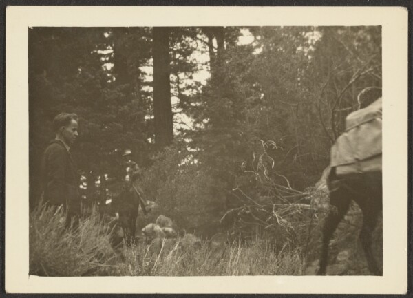 Louis Fleckenstein, [Figures in Woods with Mule]