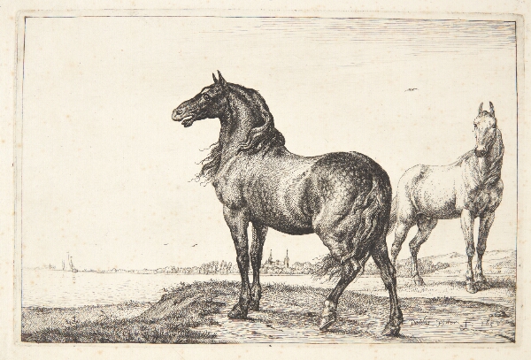 Paulus Potter, Vrinskende hest