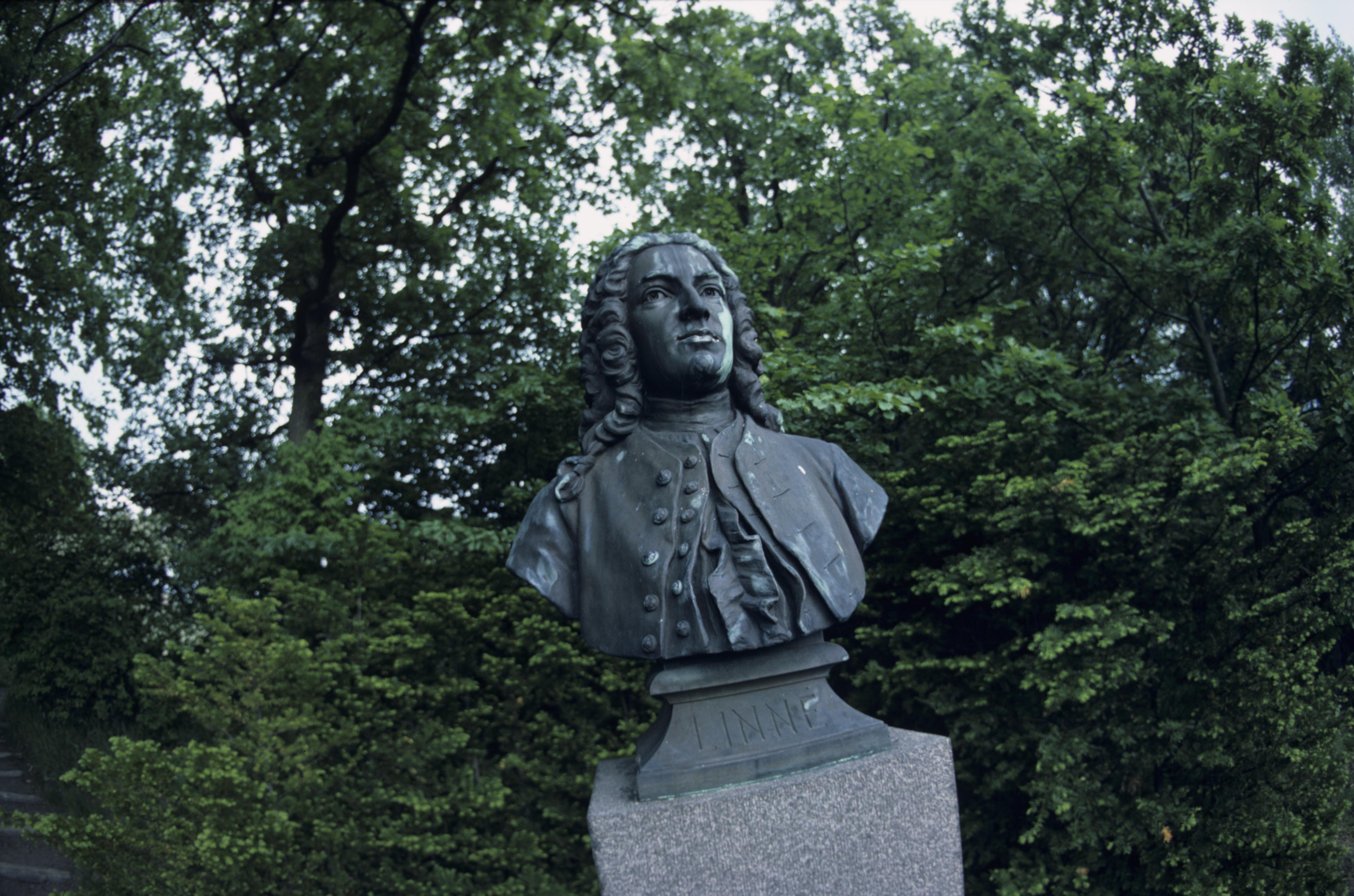 Pål-Nils Nilsson, Botaniska trädgården, Göteborg