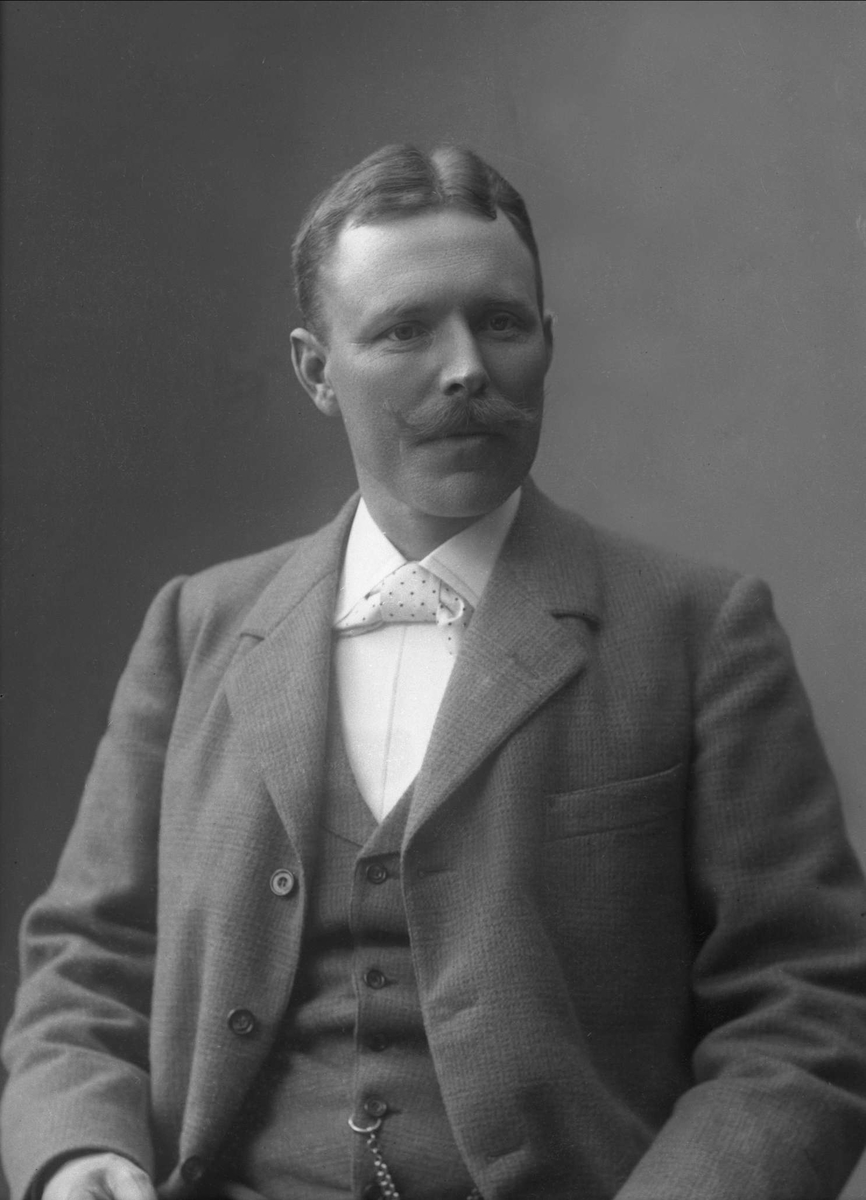 Gustav Borgen, NFB.31165