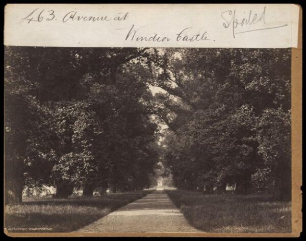 Francis Frith, Photograph