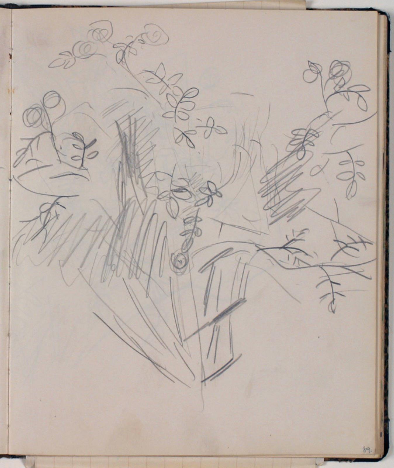 Niels Larsen Stevns, Plantestudier
