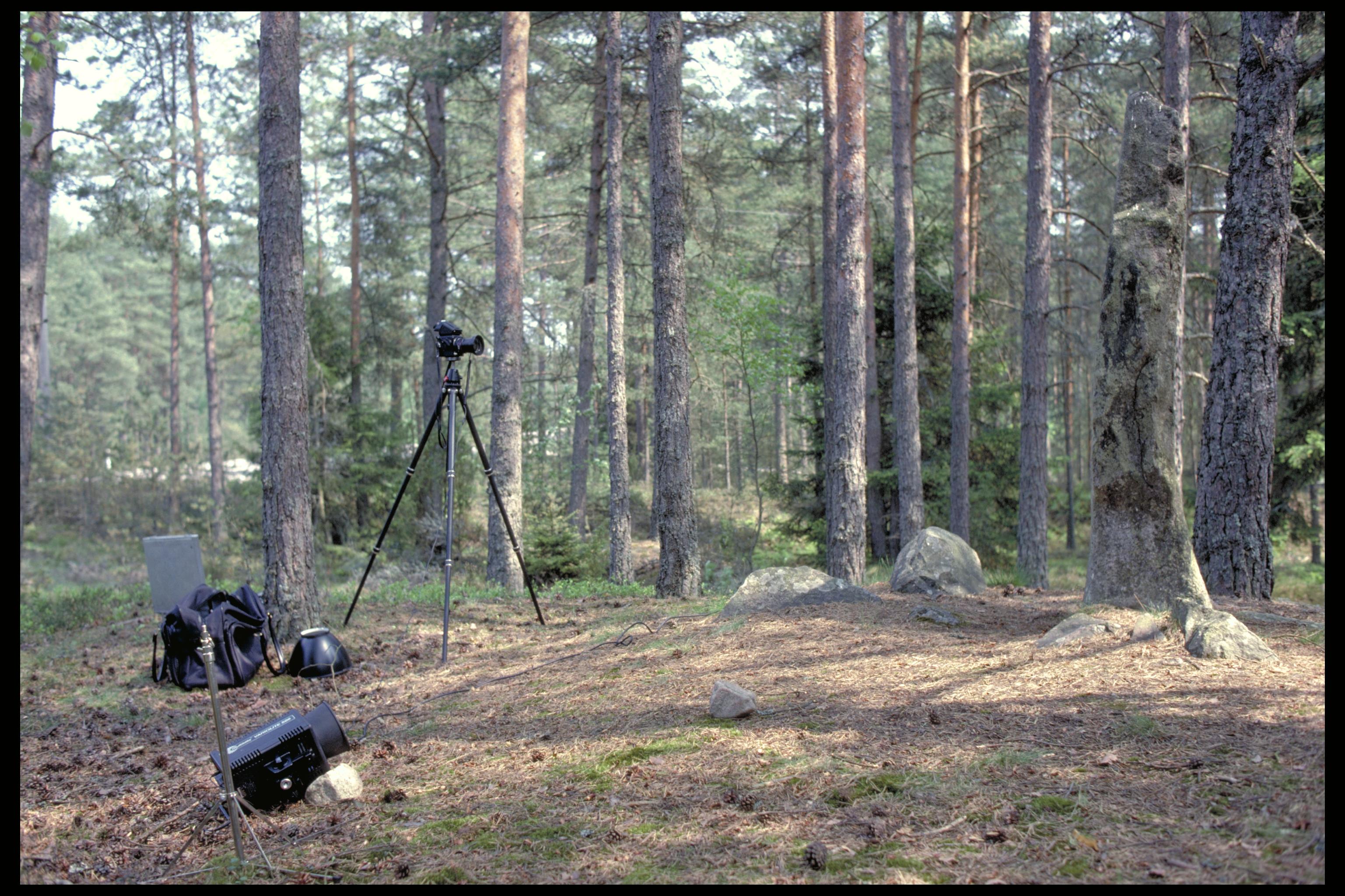 Bengt A Lundberg, Sm52 Forsheda
