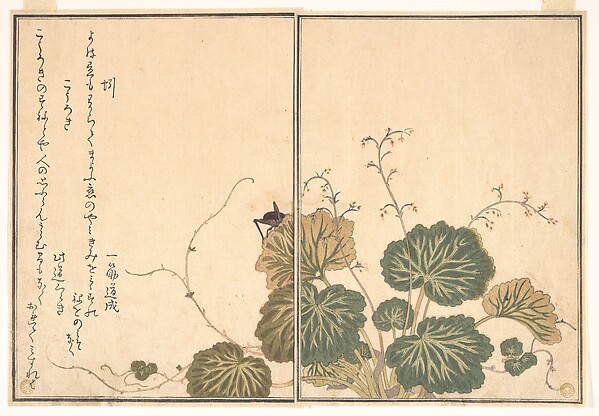 Kitagawa Utamaro, Earthworm (Mimizu); Cricket (Kōrogi), from the Picture Book of Crawling Creatures (Ehon mushi erami)